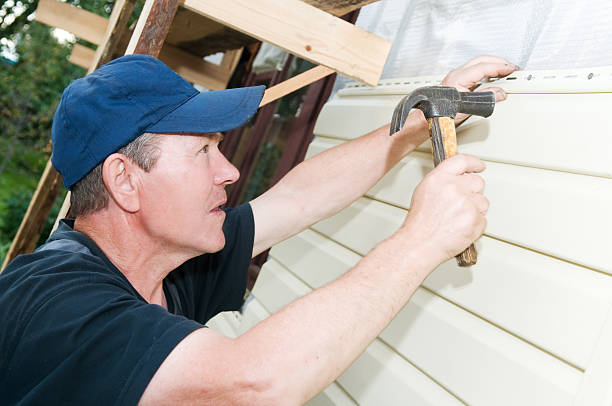Best Brick Veneer Siding  in Elsa, TX